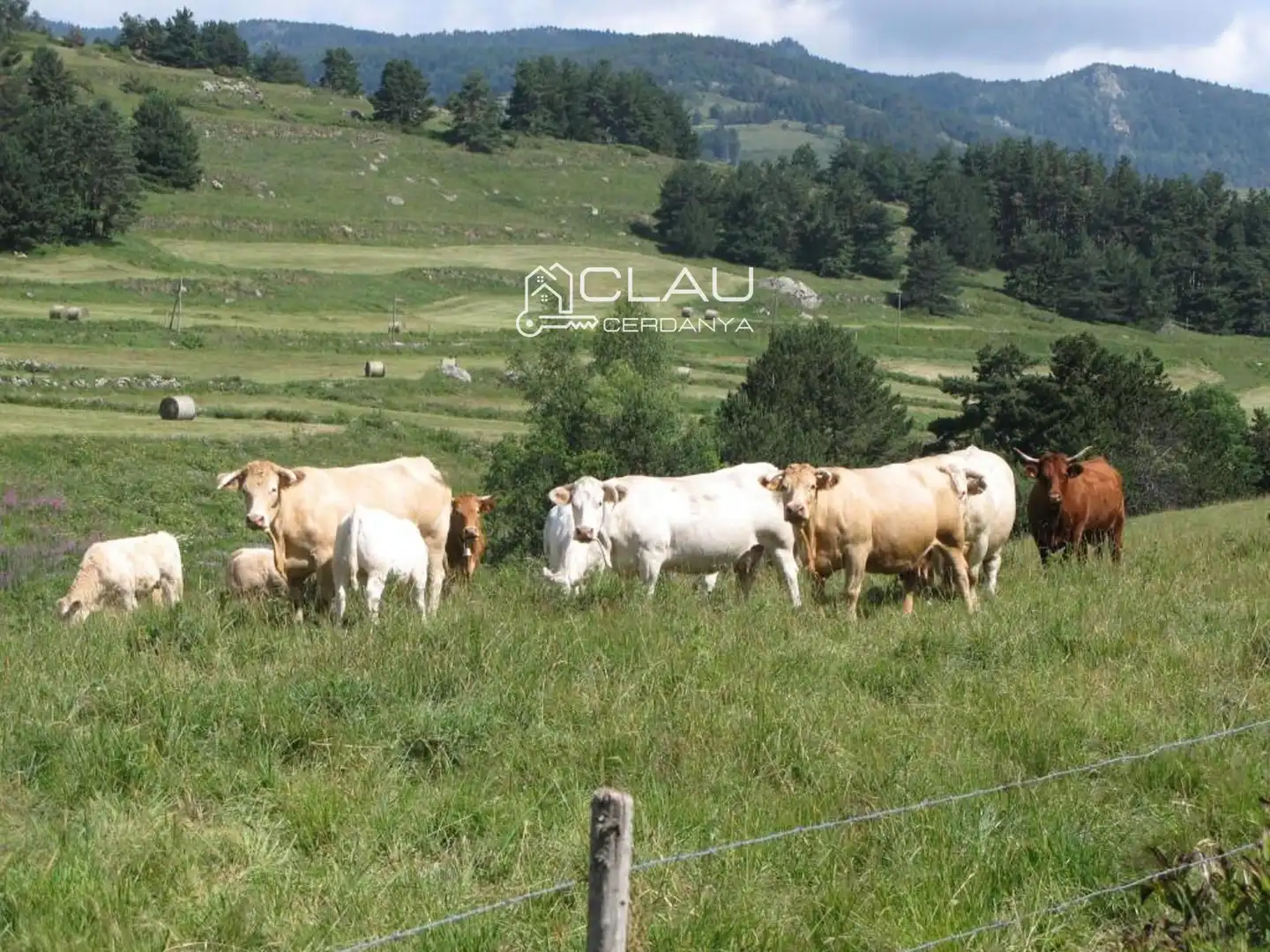 Altres en venda a du Galbe 6, imagen 54