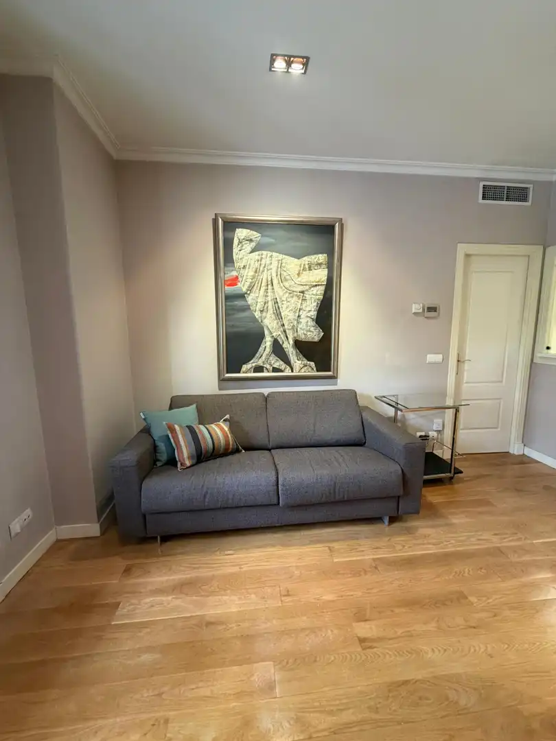 Wohnzimmer von Wohnung zur Miete in Madrid mit Klimaanlage, Heizung und Parkett