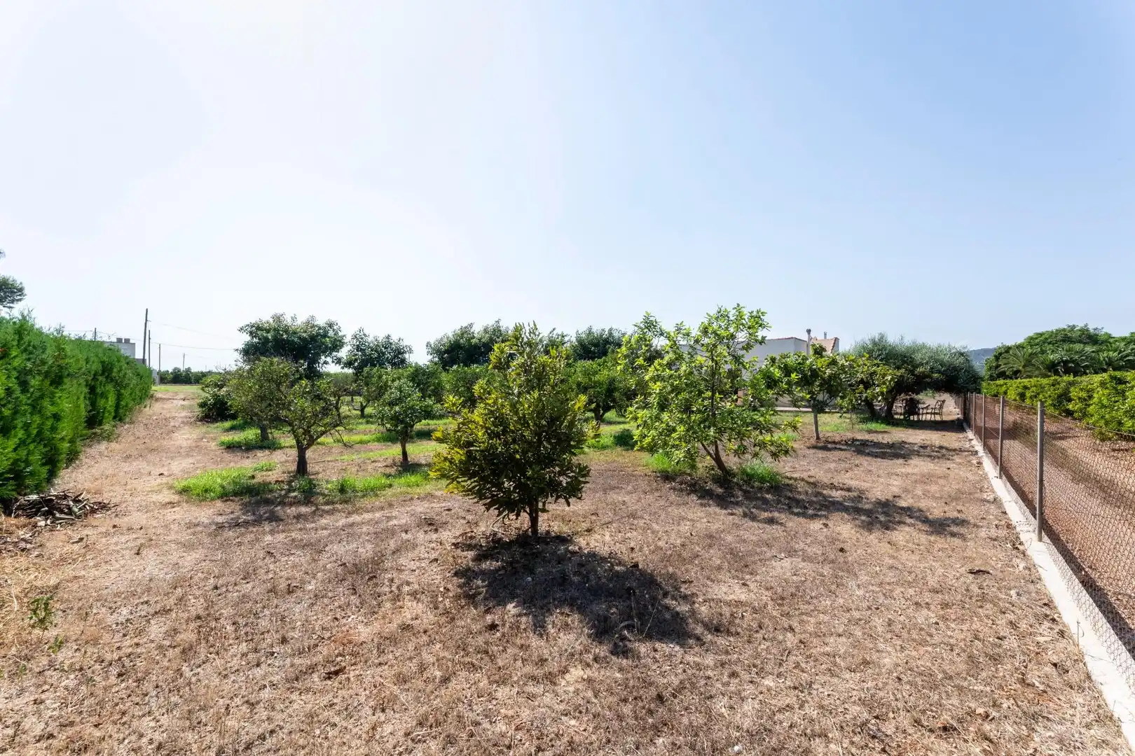 Casa rustica con giardino in vendita a Alcanar, imagen 64