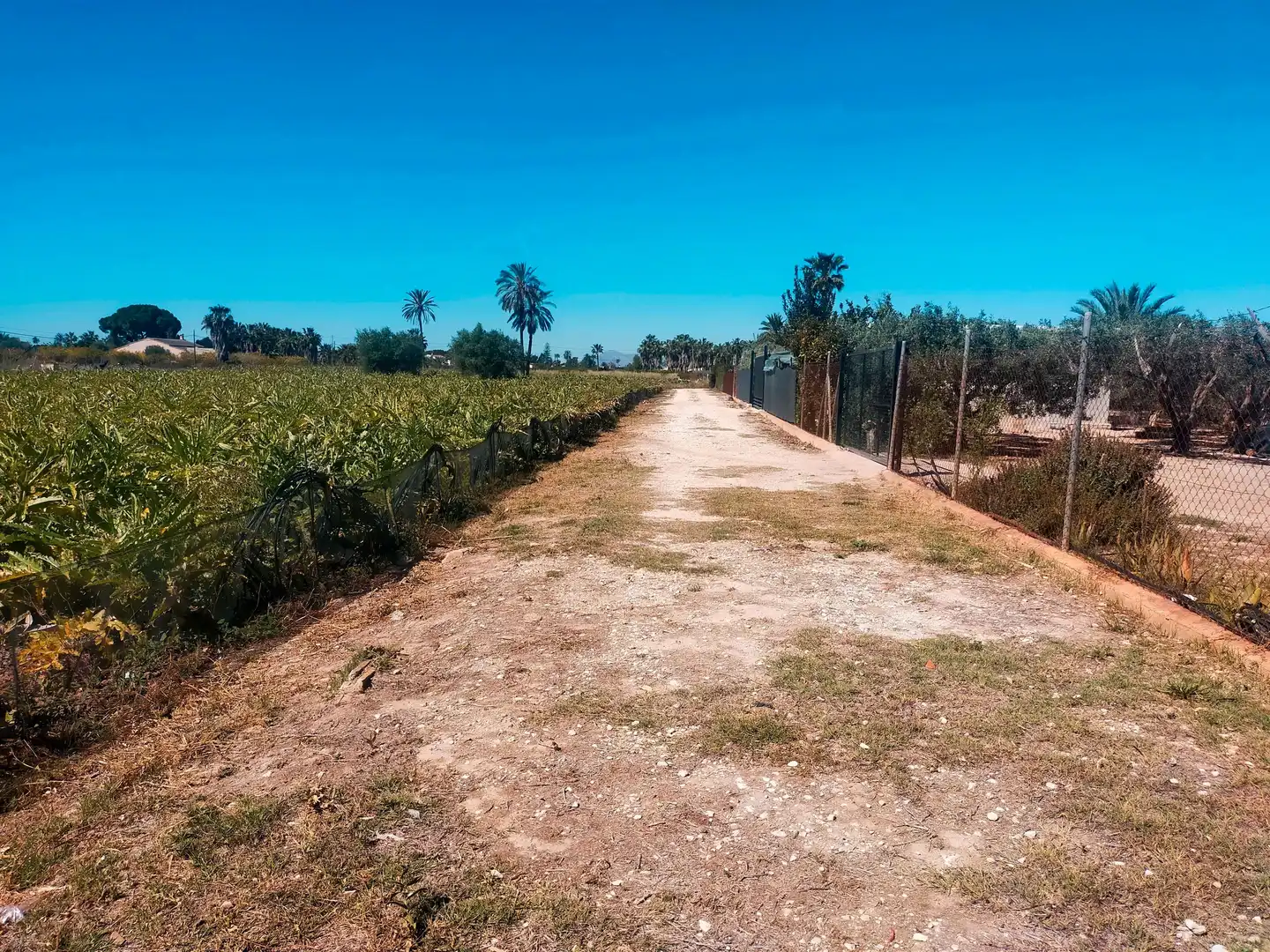 Terrain rustique à vendre à La Foia - Daimés - Asprella, imagen 5