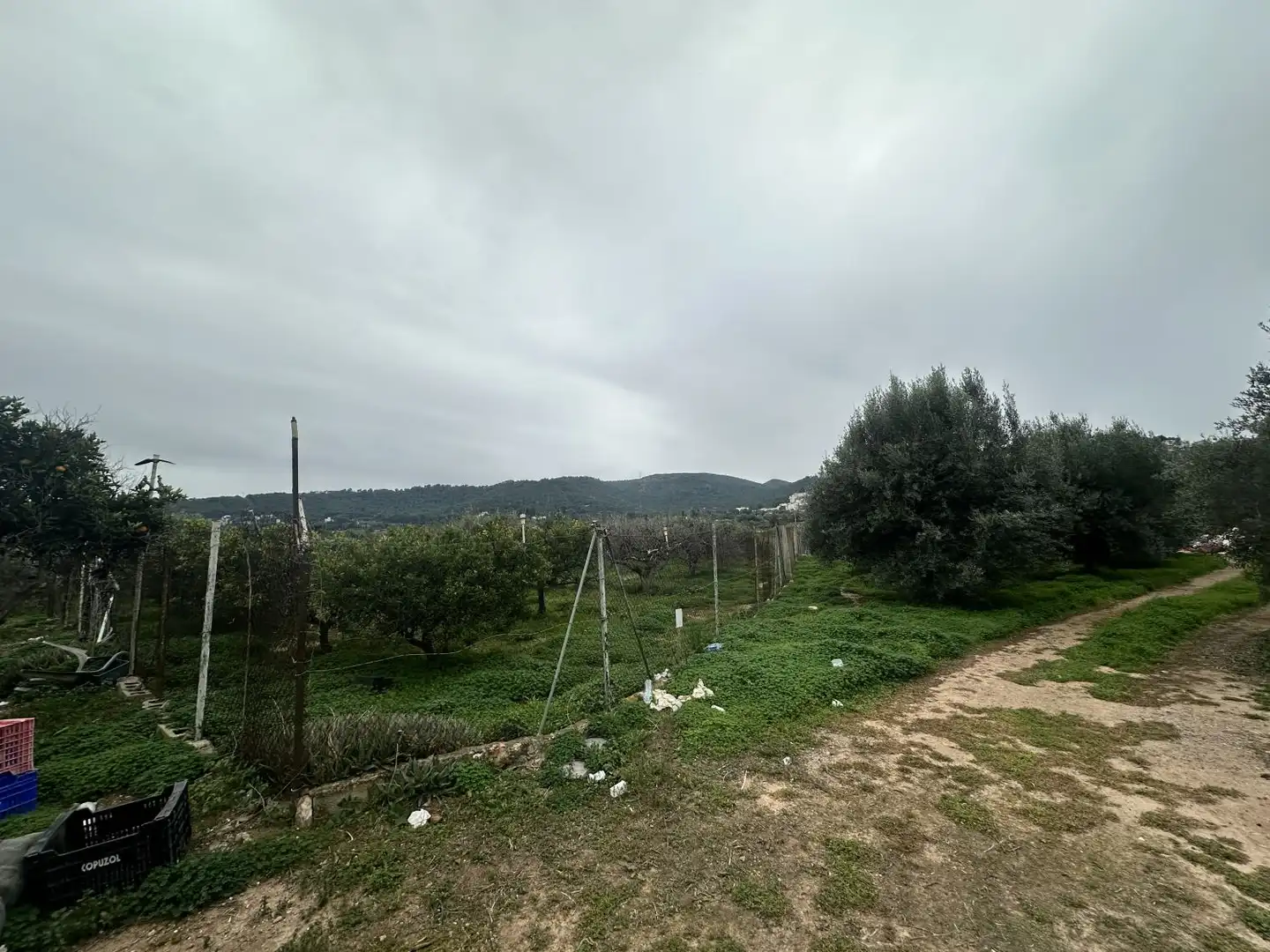 Wohnbaugrundstück zum Verkauf in Petrés, imagen 16