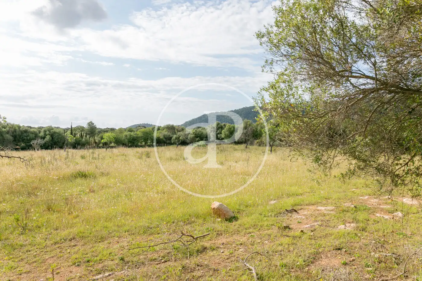 Terreny residencial en venda a Av. Montferrutx, imagen 41