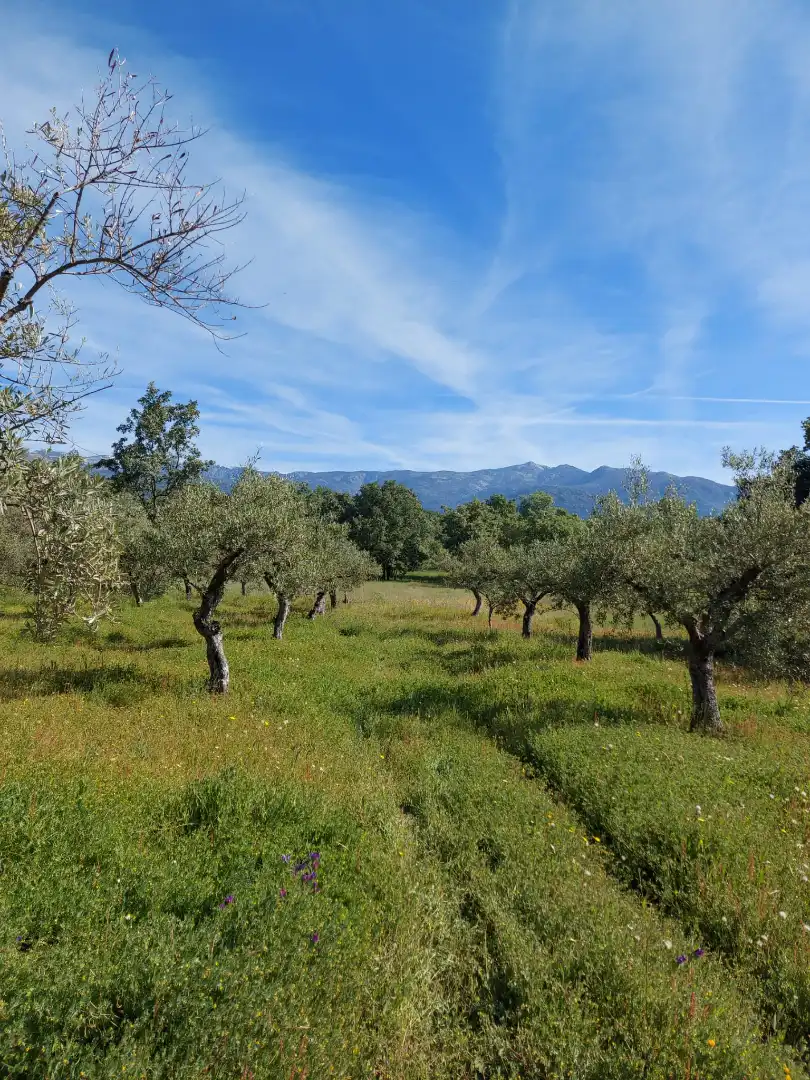 Terreni e lotti in vendita a Robledillo de la Vera, imagen 5