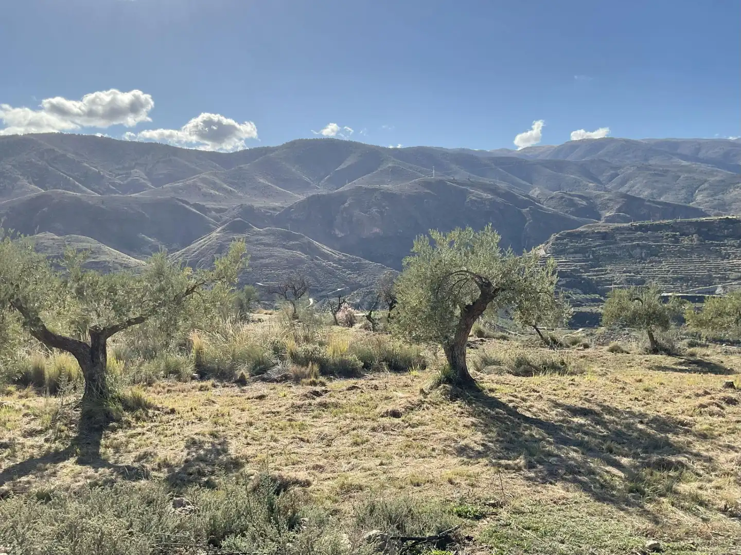 Land for sale in Padules