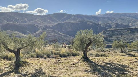 Exclusiva Finca Rústica en Padules Almería, immagine 2