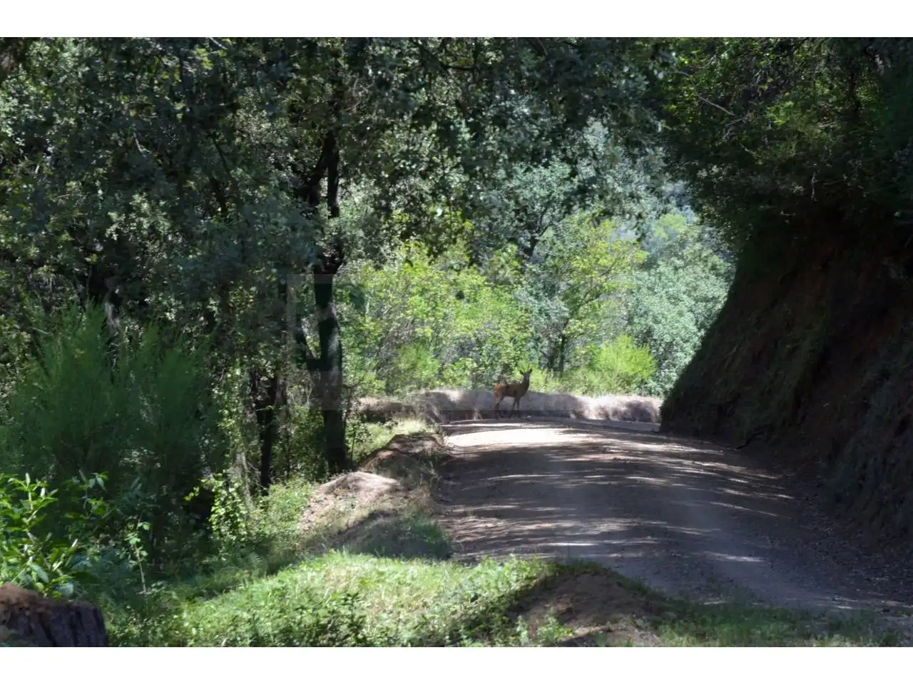 Vista exterior de Finca rústica en venda en Tordera amb Calefacció i Piscina