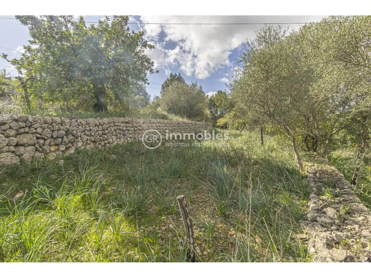 Finca rústica en venda a Alaró