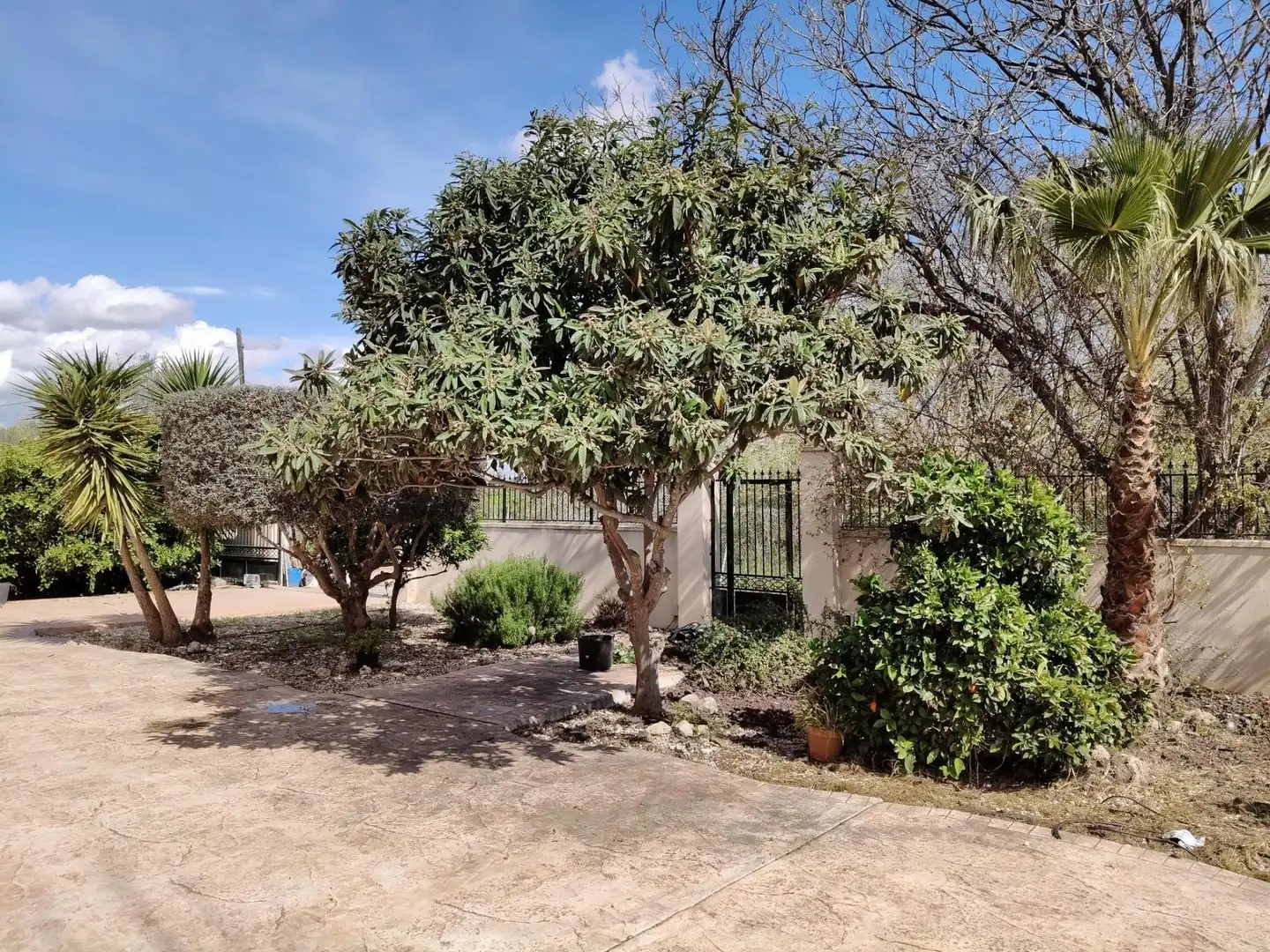 Vista exterior de Finca rústica en venda en Murcia amb Calefacció, Jardí privat i Piscina