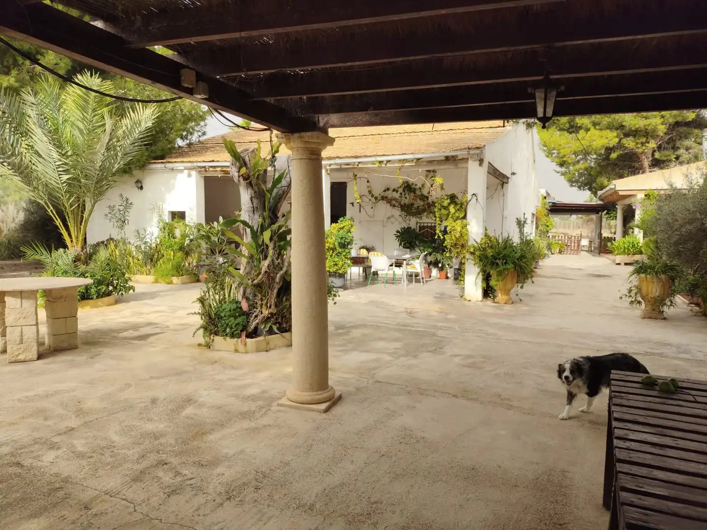 Jardí de Casa o xalet en venda en Elche / Elx amb Jardí privat i Moblat