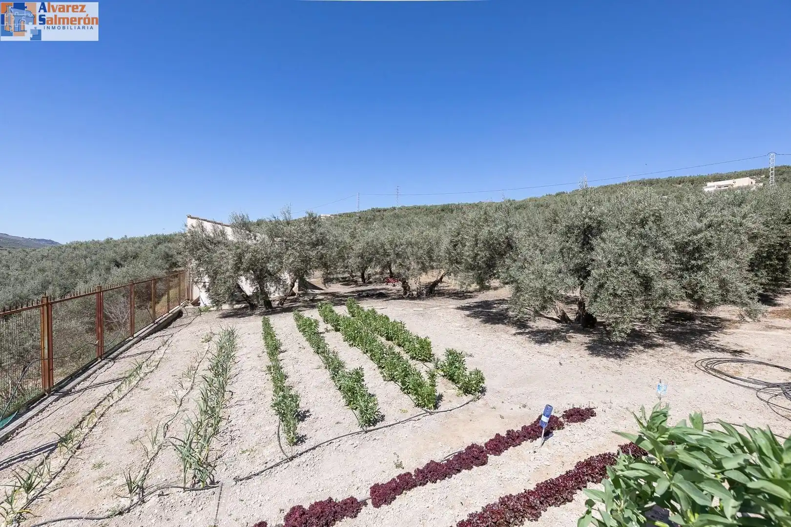 Casa rustica con terrazza in vendita a Montefrío, imagen 42