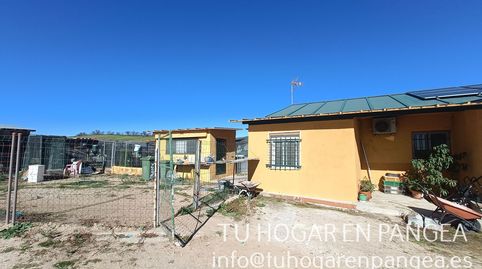 Photo 4 of Land for sale in Casarrubios del Monte pueblo, Casarrubios del Monte