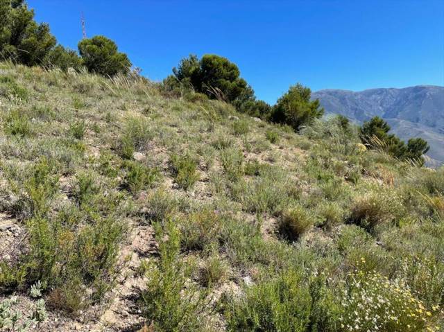 Terreno residencial en Venta en Polígono 3 Parcela  en Órgiva