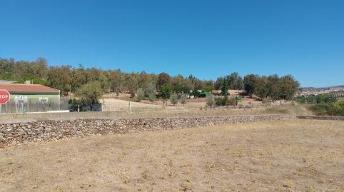 Foto 3 de Finca rústica en venta en Zafra, Badajoz
