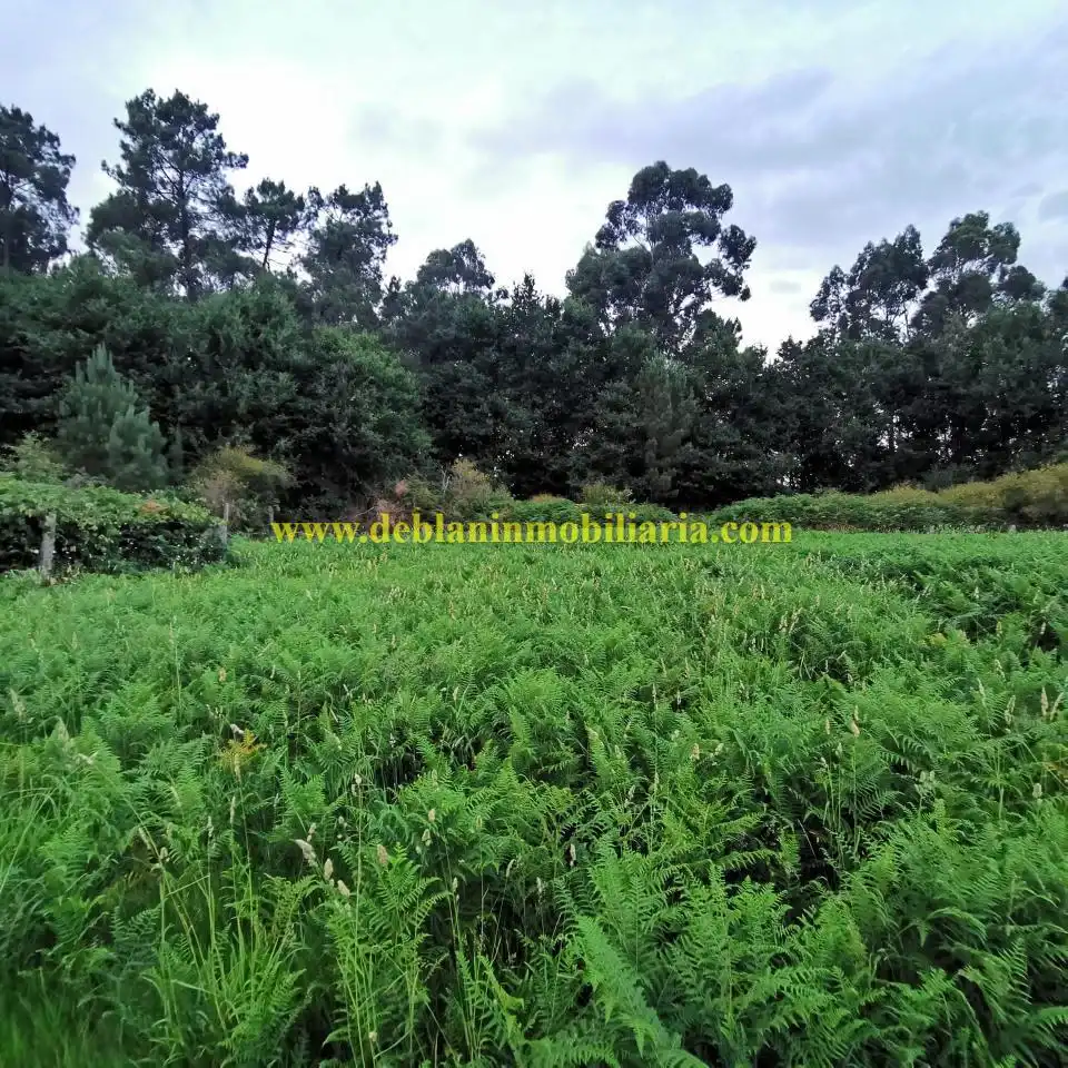Terreno residencial en venta en Cotarel - Ribadelouro, imagen 11