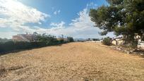 Country house for sale in Catral, imagen 2
