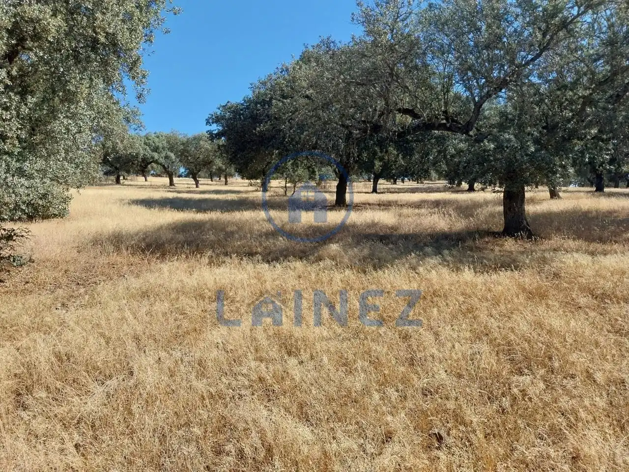 Lands and plots for sale in Fuente Obejuna, imagen 8