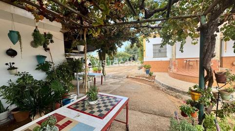 Foto 5 de Finca rústica en venta en El Viso del Alcor, Sevilla