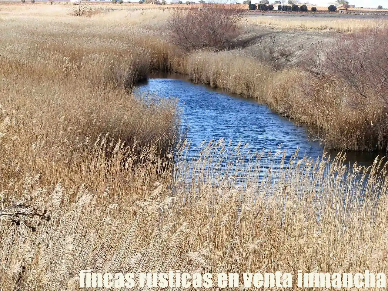 Terreni e lotti in vendita a Las Mesas, imagen 7