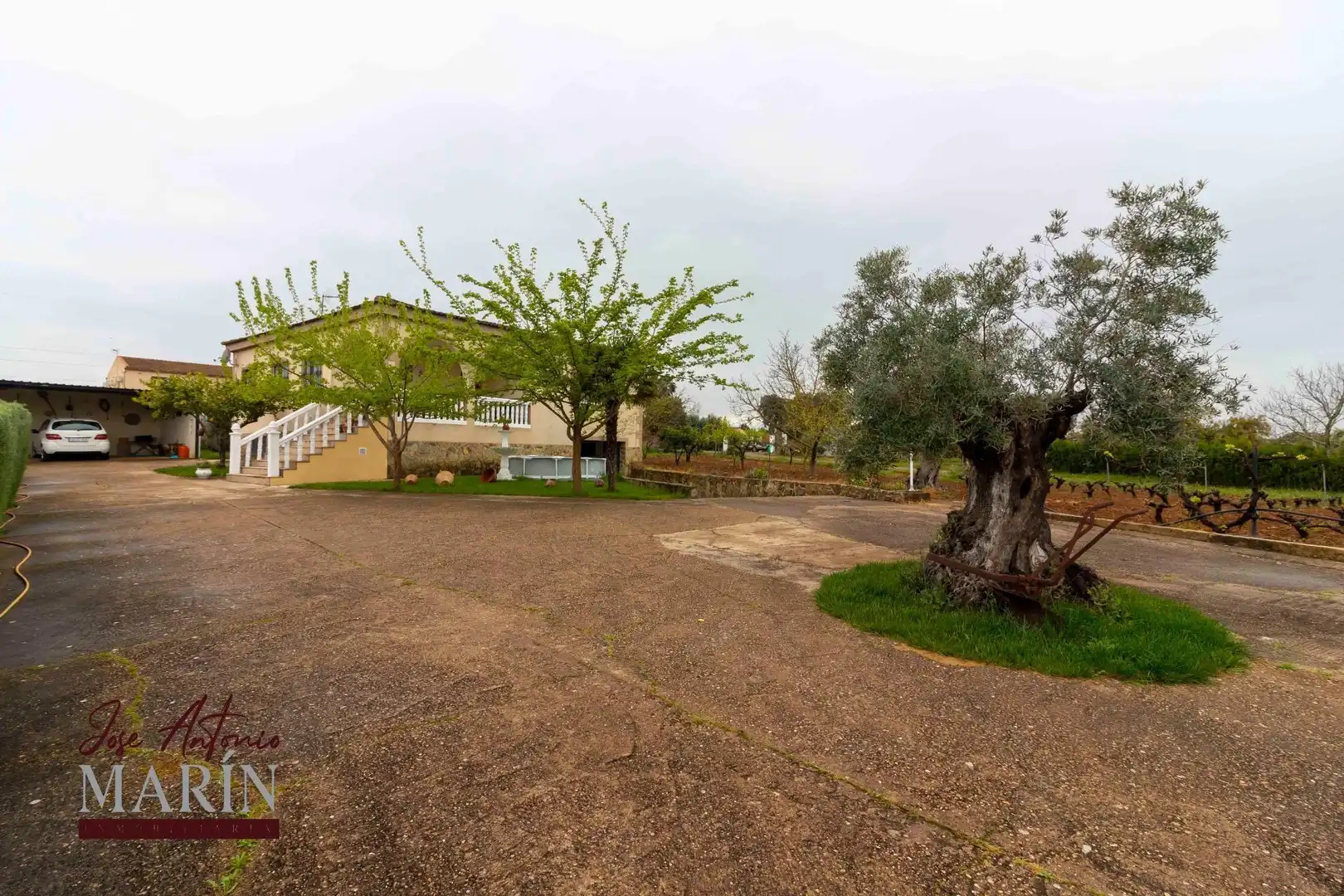 Jardí de Casa o xalet en venda en Badajoz amb Terrassa, Traster i Moblat