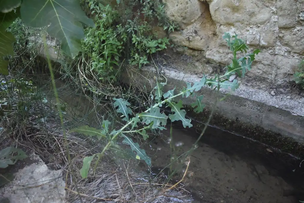 Terreni e lotti in vendita a La Fresneda, imagen 18