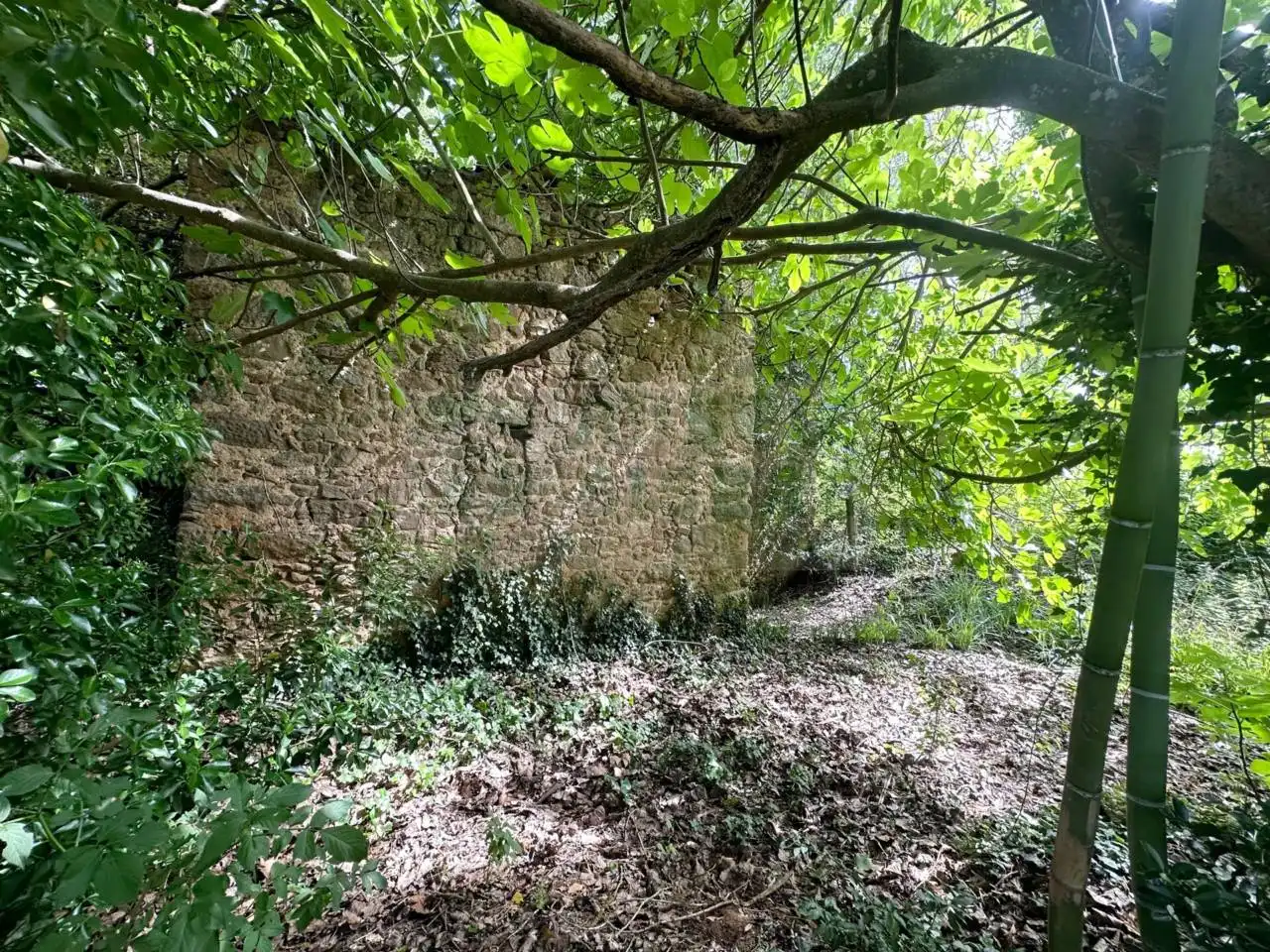Finca rústica en venta en La Pera