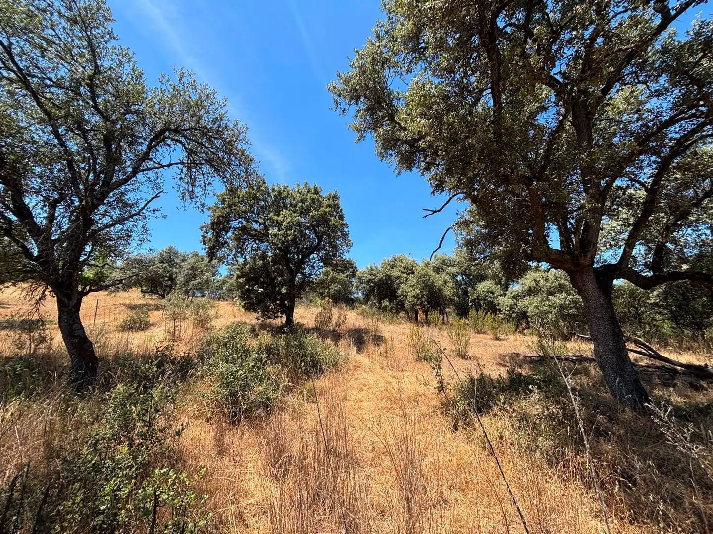 Residential land for sale in Paseo del Perú, imagen 17