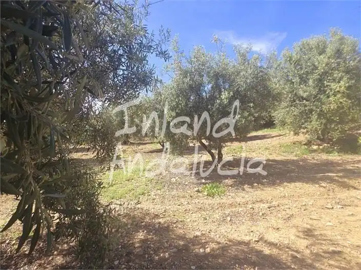 Casa rústica en venda a Alcaucín, imagen 15
