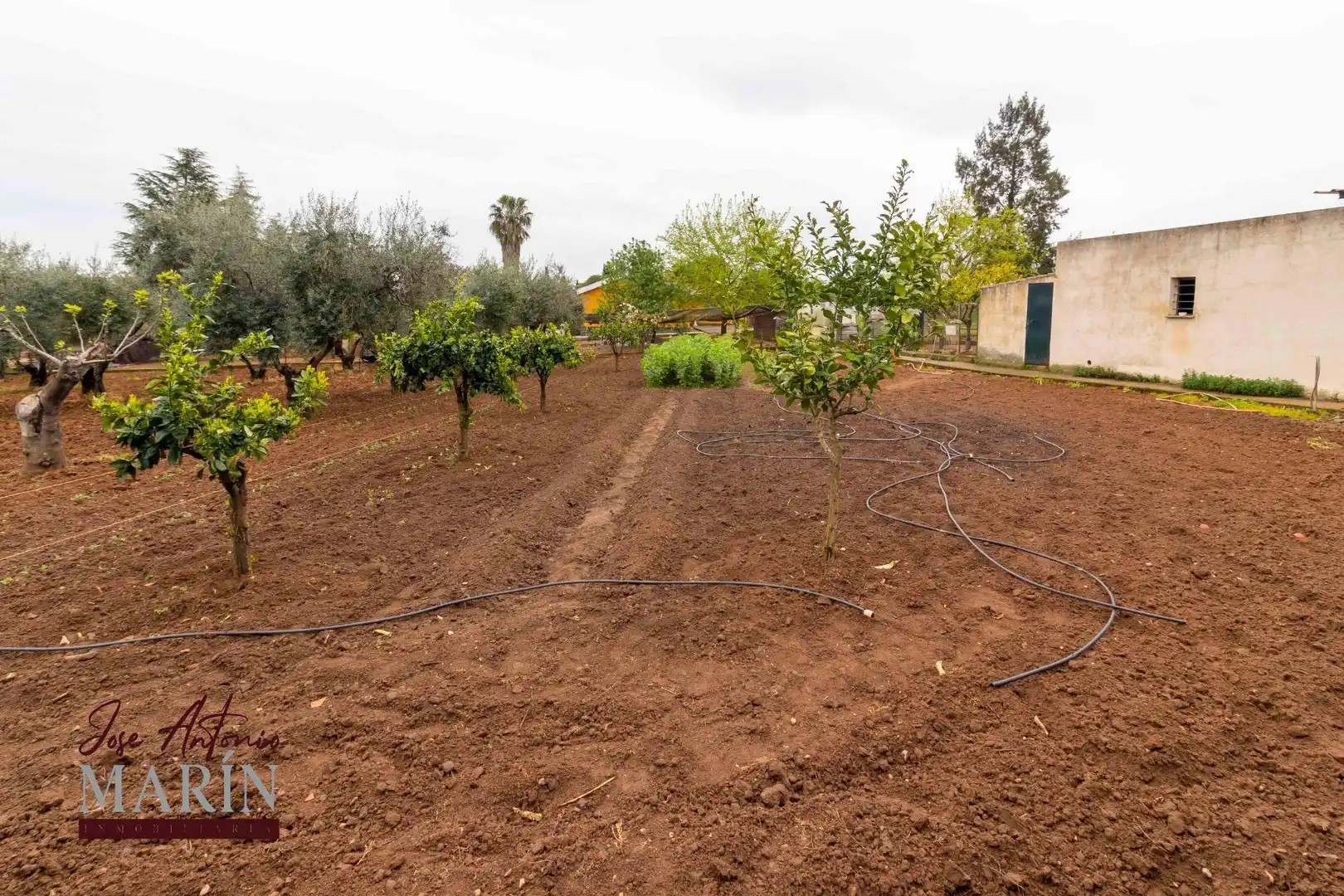 Jardí de Casa o xalet en venda en Badajoz amb Terrassa, Traster i Moblat