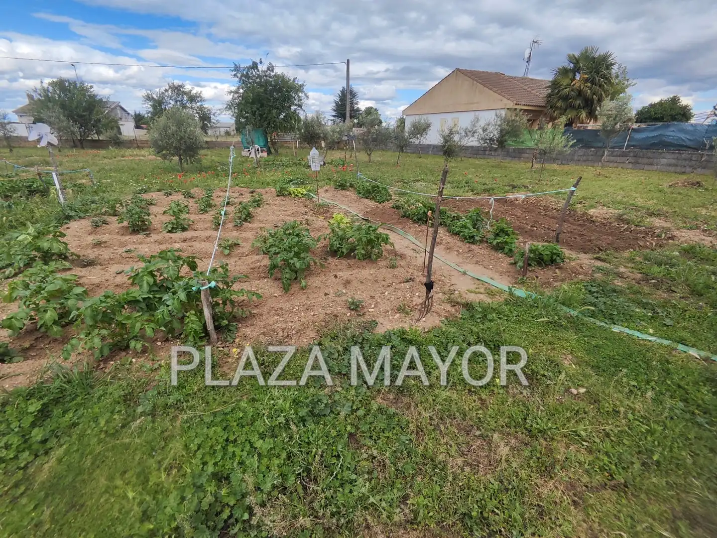 Terreno rustico in vendita a Villares de la Reina, imagen 4