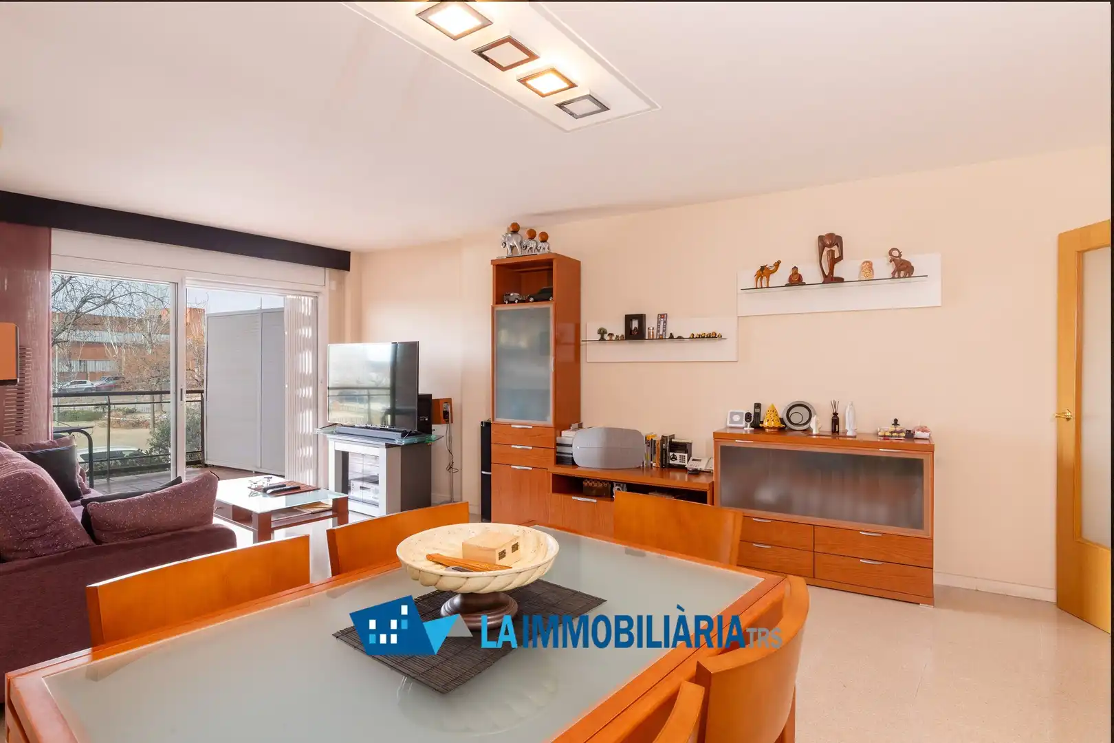 Wohnzimmer von Wohnung zum Verkauf in Terrassa