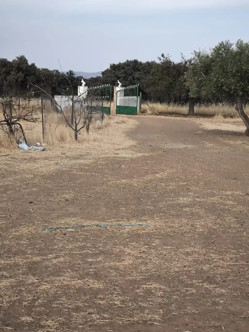 Finca rústica en venda en El Viso de San Juan