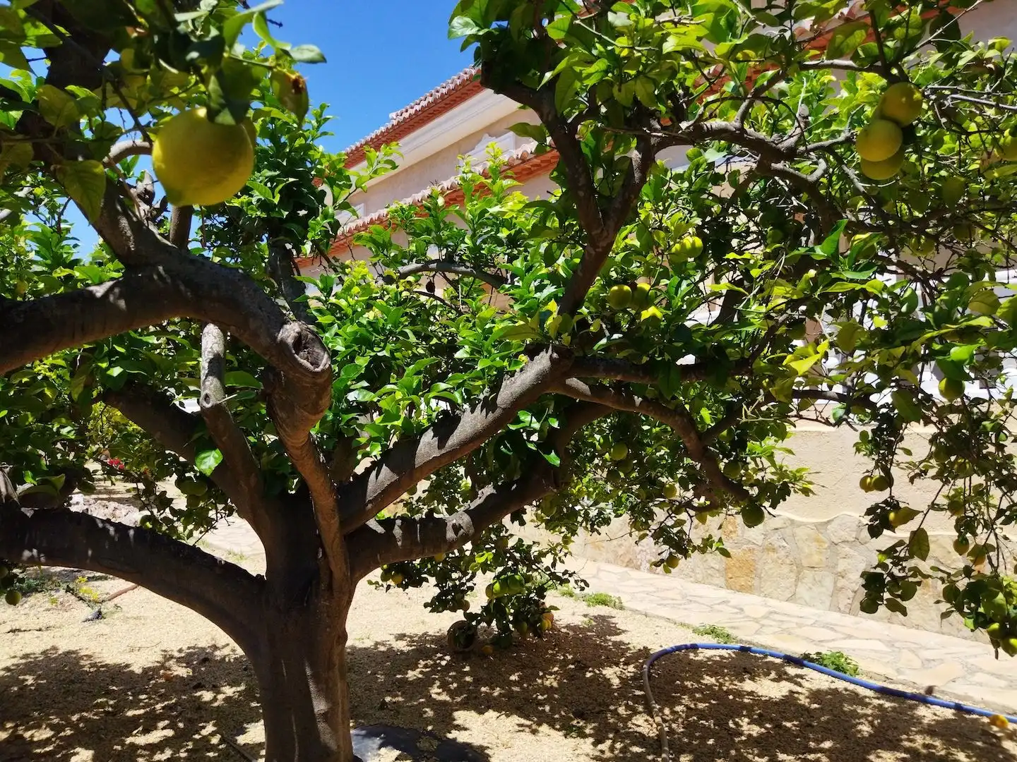 Maison avec jardin à vendre à Canuta, imagen 9