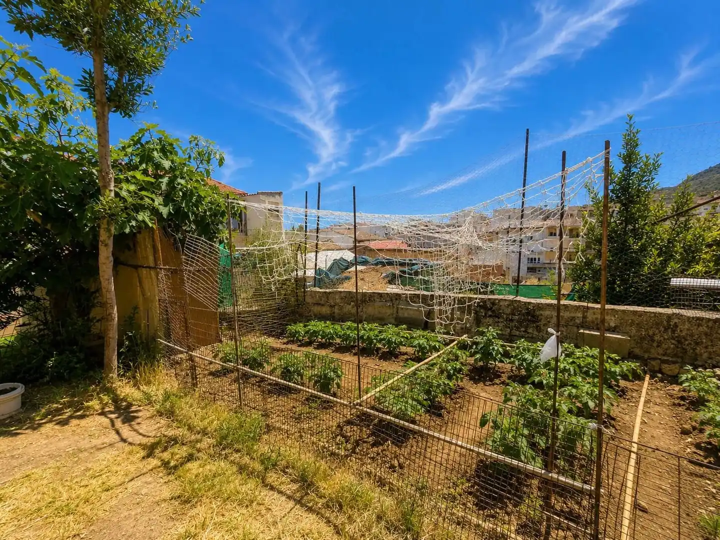 Casa con piscina in vendita a Loja, imagen 18
