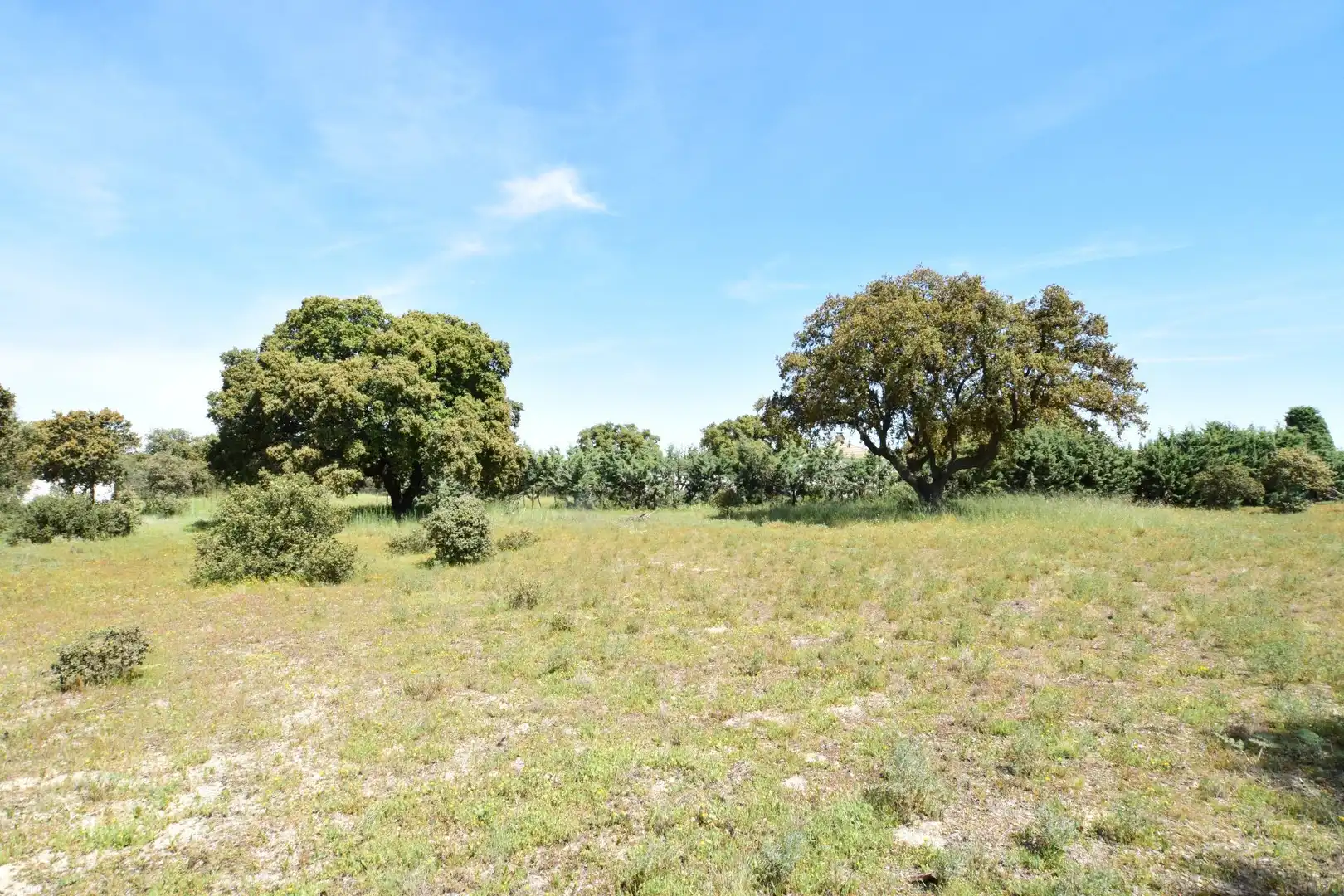 Residential for sale in Maello