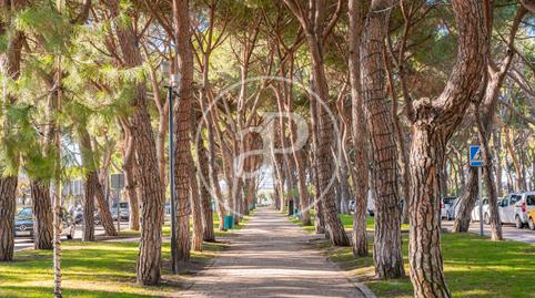 Photo 3 of House or chalet for sale in Urbanización La Moraleja, Madrid