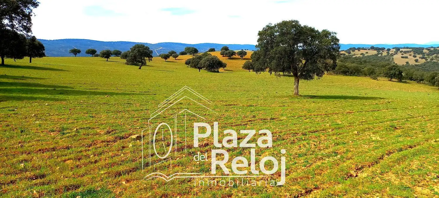 Terreno rustico in vendita a CERVANTES 0, imagen 5