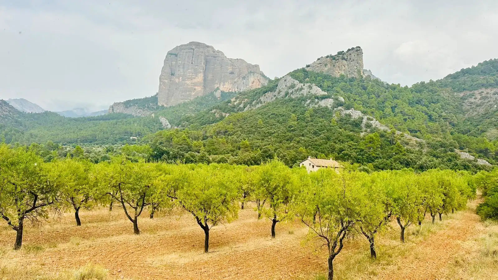 Rural land for sale in Horta de Sant Joan, imagen 14