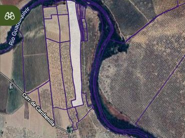 Terreno rustico in vendita a Mengíbar