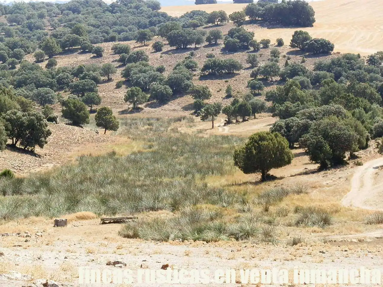 Terreni e lotti in vendita a Munera, imagen 4