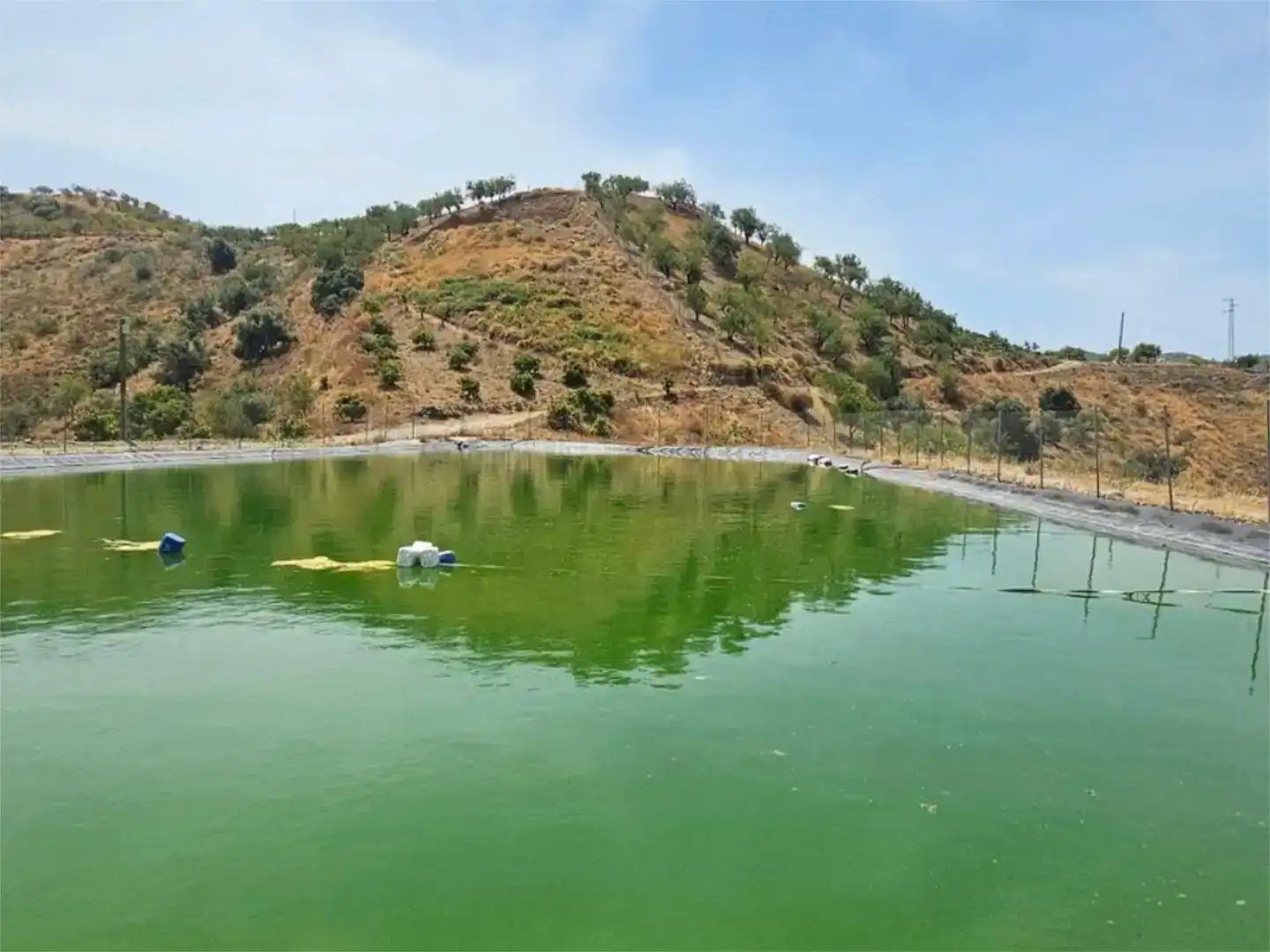 Piscina de Finca rústica en venda en Vélez-Málaga