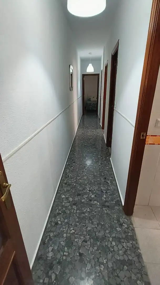 Pis de lloguer a Centro