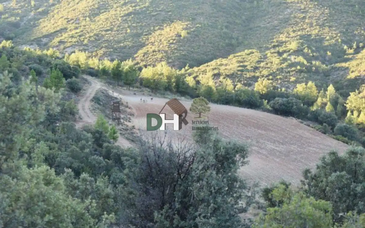 Terreni e lotti in vendita a San Fernando - Carretera de Valencia, imagen 7