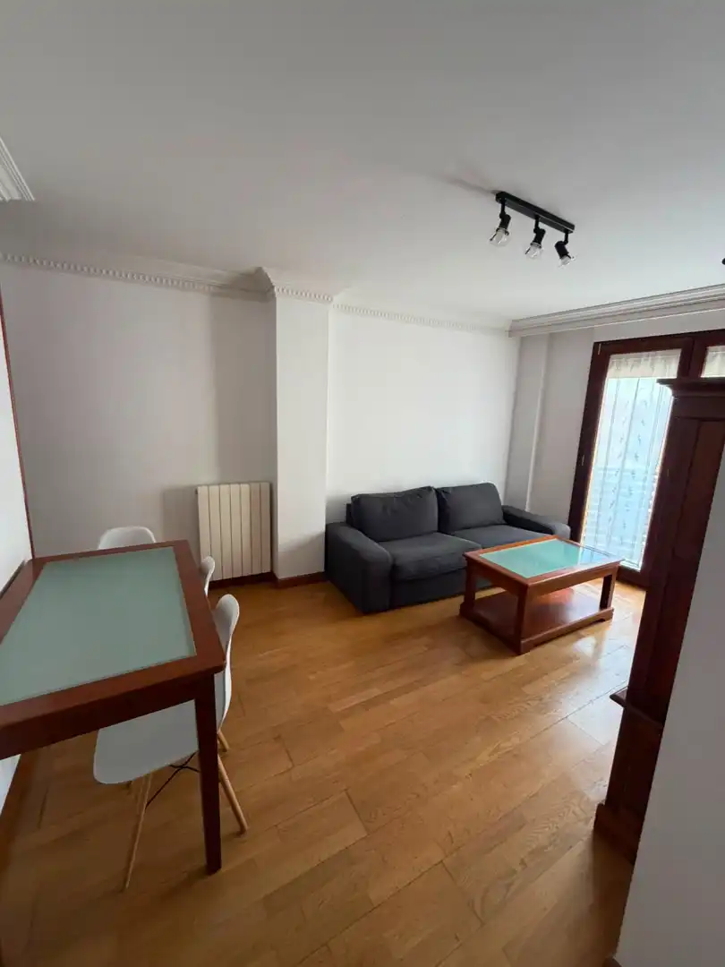 Sala de estar de Piso de alquiler en Salamanca con Calefacción, Parquet y Amueblado