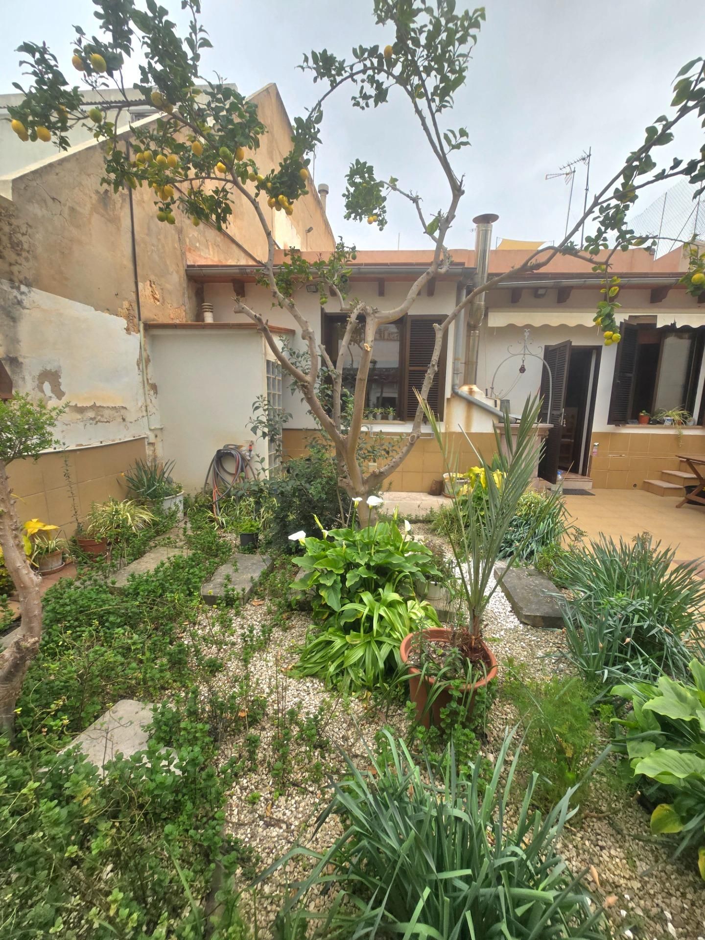 Jardín de Casa o chalet en venta en  Palma de Mallorca con Aire acondicionado, Jardín privado y Trastero