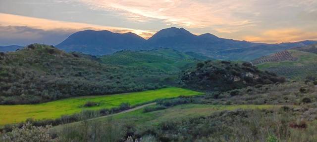 Terreno en Venta en El Saucejo en Mairena del Alcor