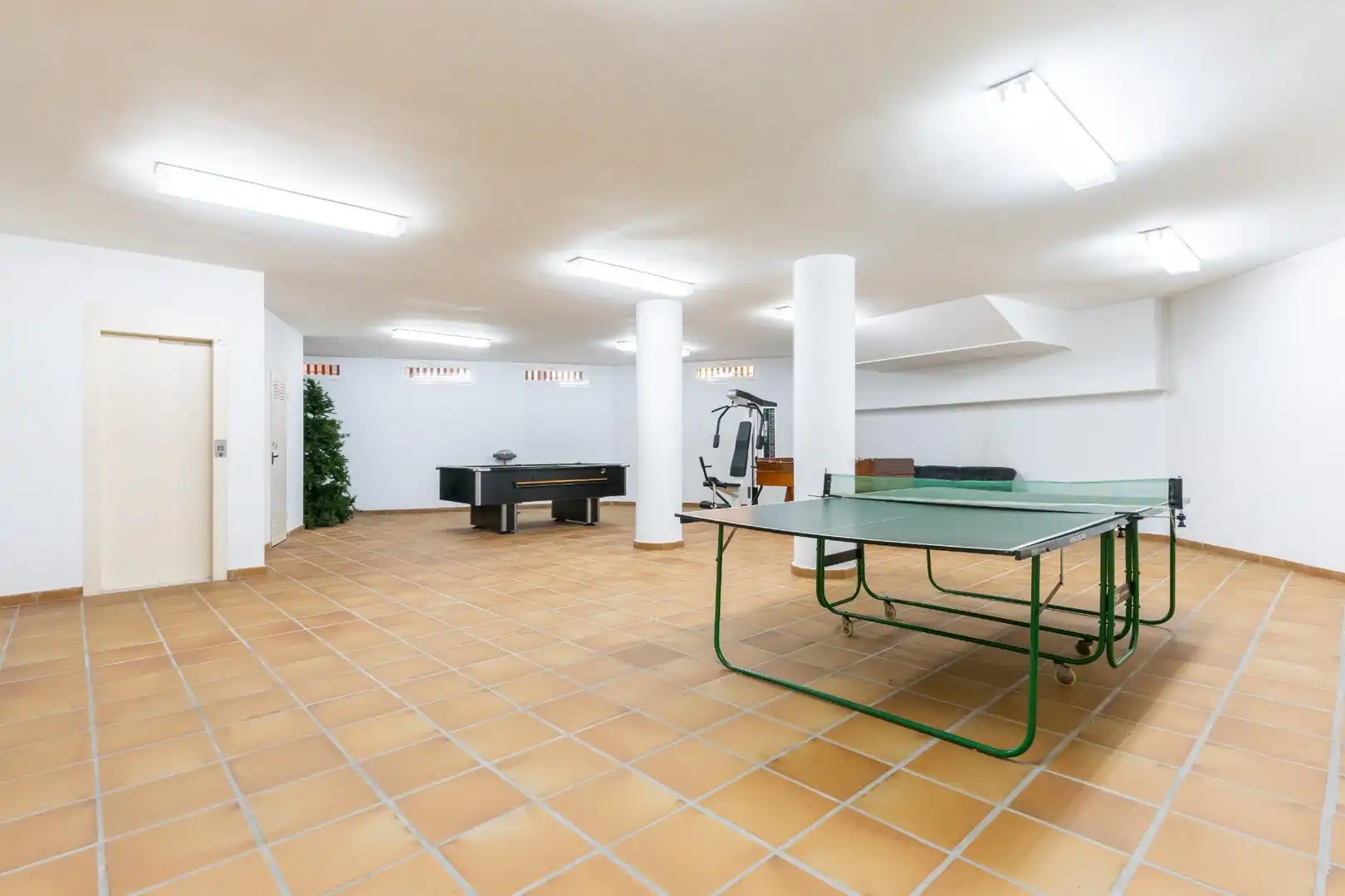 Maison avec terrasse à vendre à El Ejido Ciudad, imagen 16