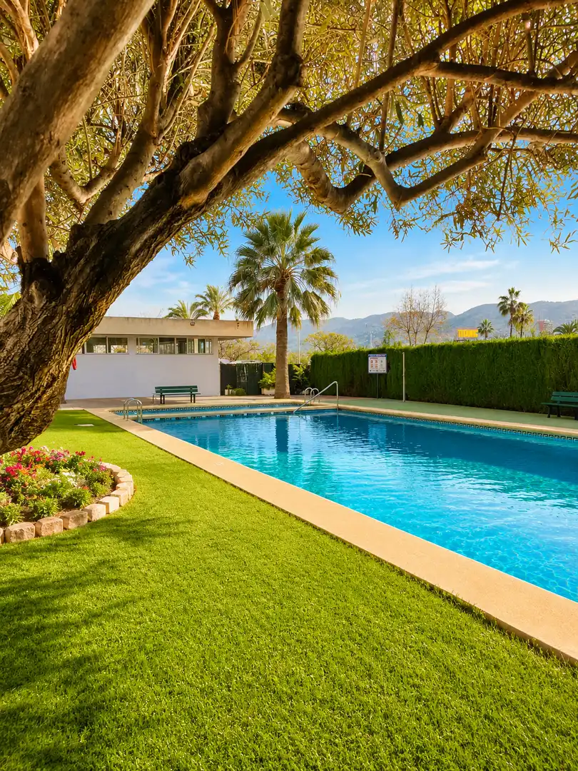 Piscina de Apartament en venda en Benidorm amb Terrassa i Moblat