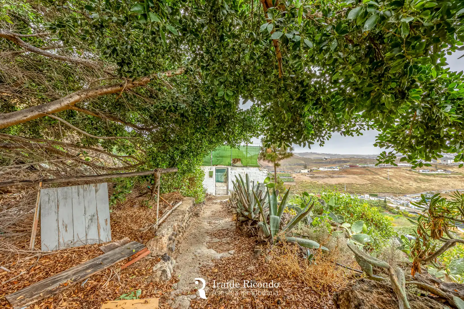 Jardí de Casa o xalet en venda en Arucas