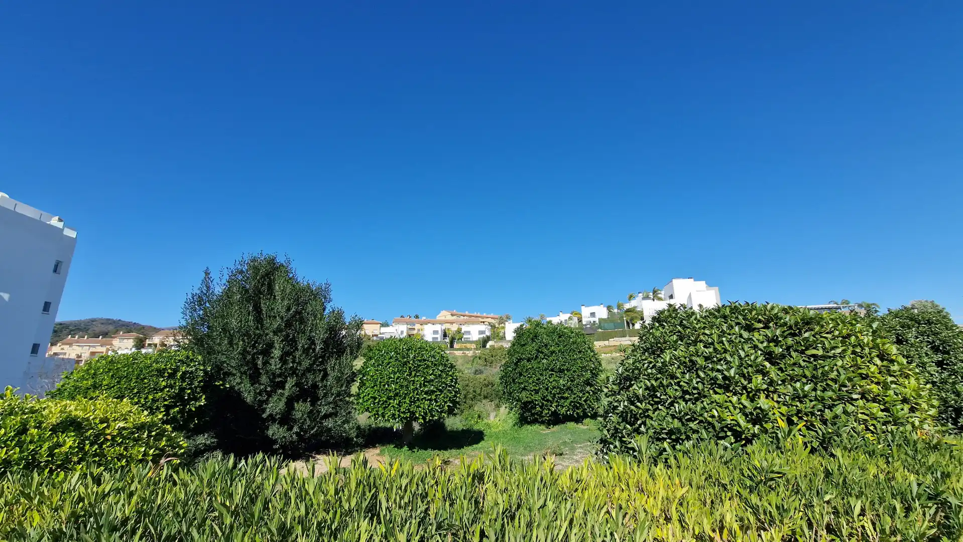 Garden of Residential for sale in Estepona