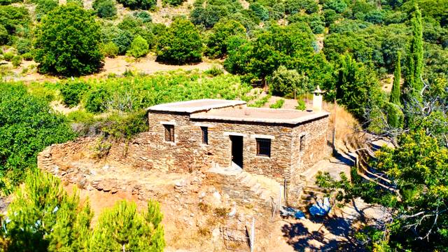 Terreno en Venta en Calle Plaza en Válor